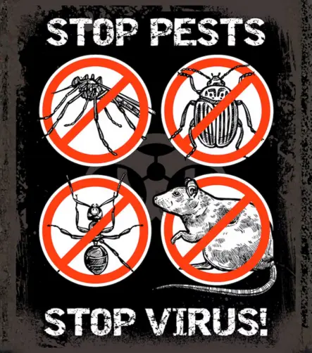 Top 10 Pest control service providers in Kumbakonam